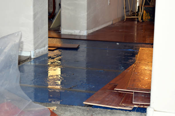 Professional Sewage Cleanup technician working in Pontiac, IL